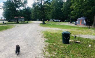 Shelly S.'s photo of camping with pets at East Fork Stables near Byrdstown, TN