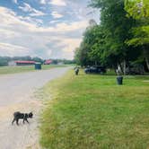 Review photo of East Fork Stables by Shelly S., September 26, 2019