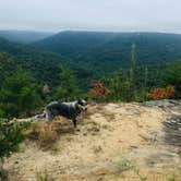 Review photo of East Fork Stables by Shelly S., September 26, 2019