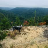 Review photo of East Fork Stables by Shelly S., September 26, 2019