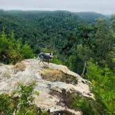 Review photo of East Fork Stables by Shelly S., September 26, 2019