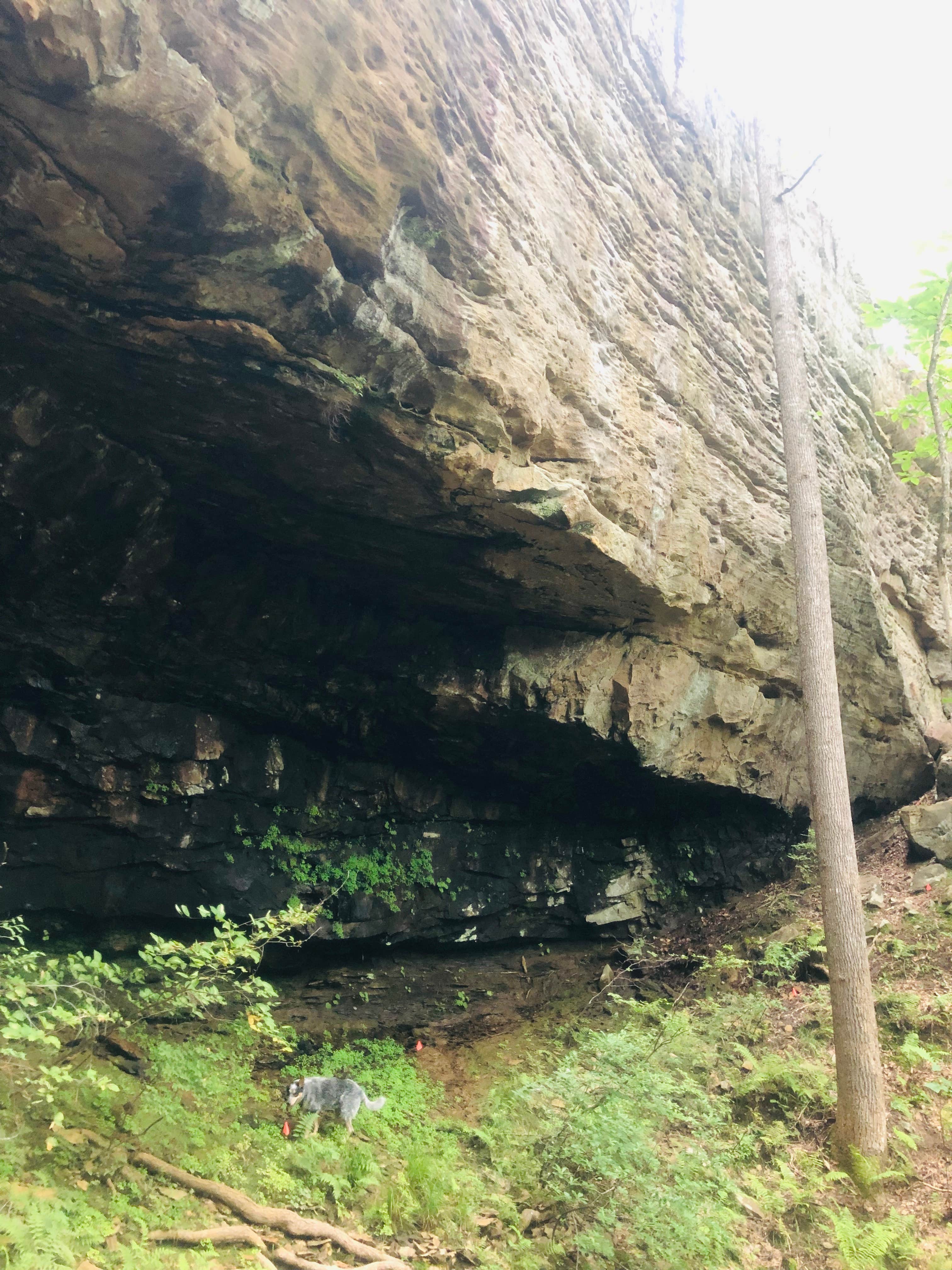 Camper-submitted photo at East Fork Stables near Jamestown, TN