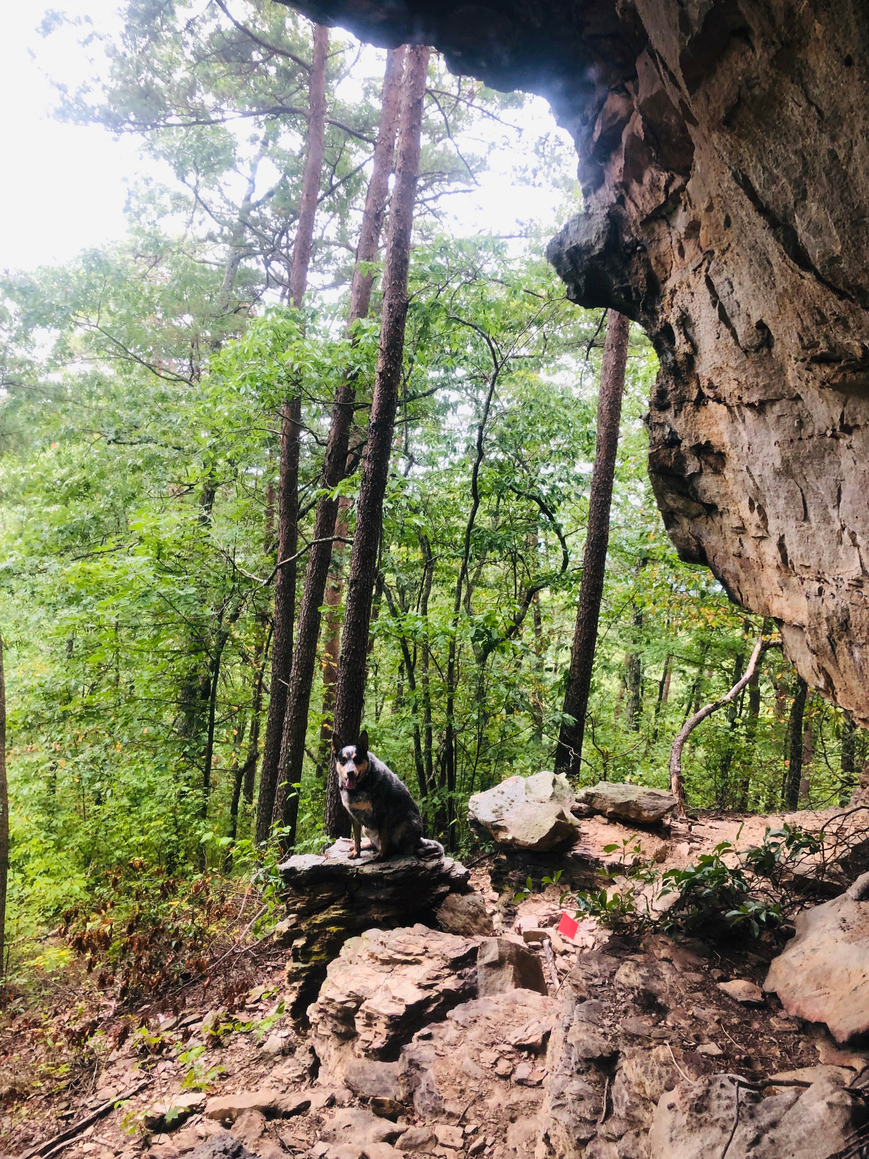 Camper-submitted photo at East Fork Stables near Jamestown, TN