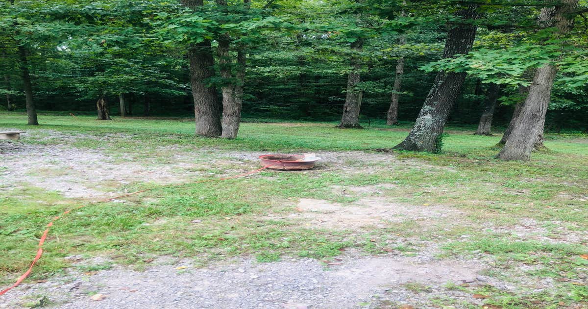 East Fork Stables