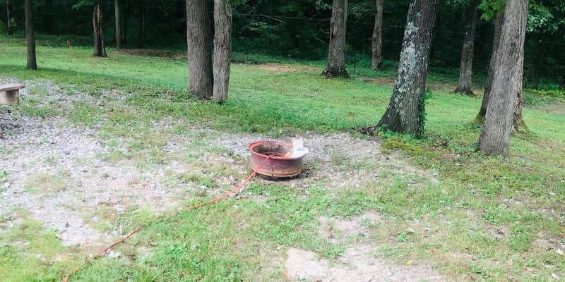 Camper submitted image from East Fork Stables