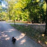 Review photo of Big Ridge State Park Campground by Shelly S., September 26, 2019