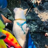 Review photo of West Campground — Norris Dam State Park by Shelly S., September 26, 2019