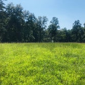 Review photo of Chuck Swan State Forest by Shelly S., September 26, 2019