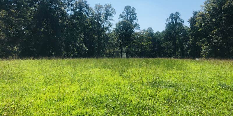 Camper submitted image from Chuck Swan State Forest