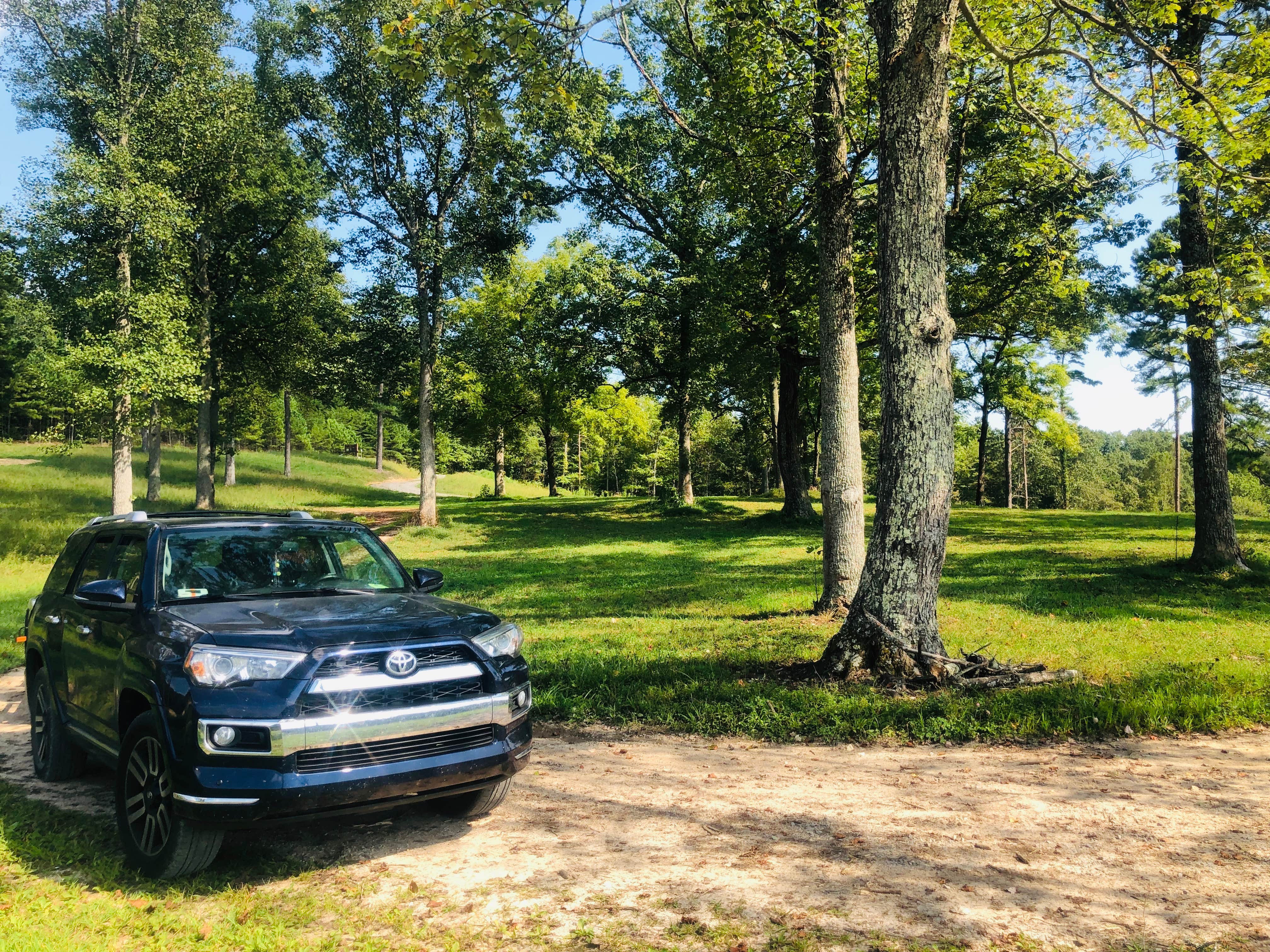 Camper-submitted photo at Chuck Swan State Forest near Rutledge, TN