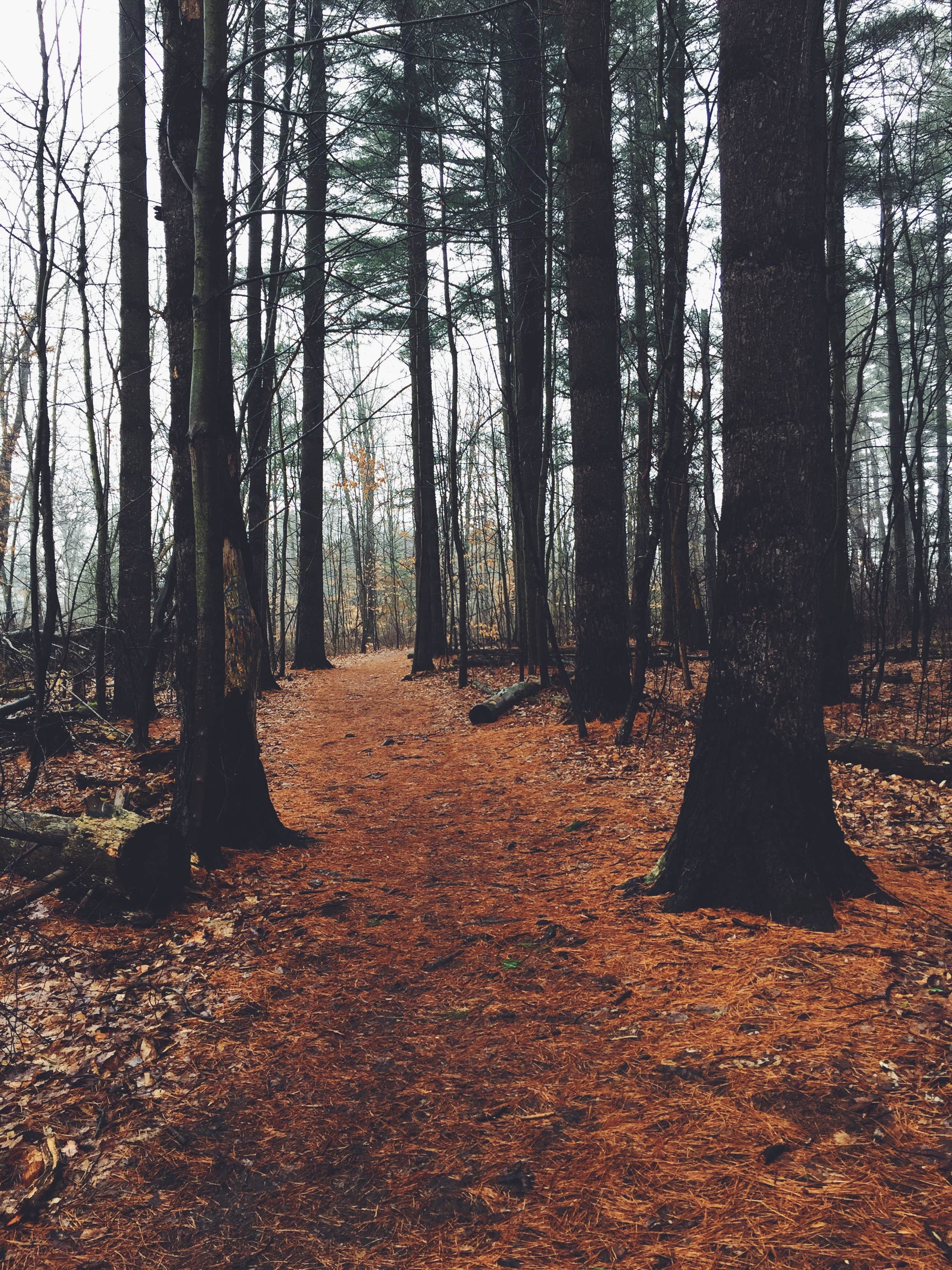 Camper submitted image from Proud Lake Recreation Area - 2
