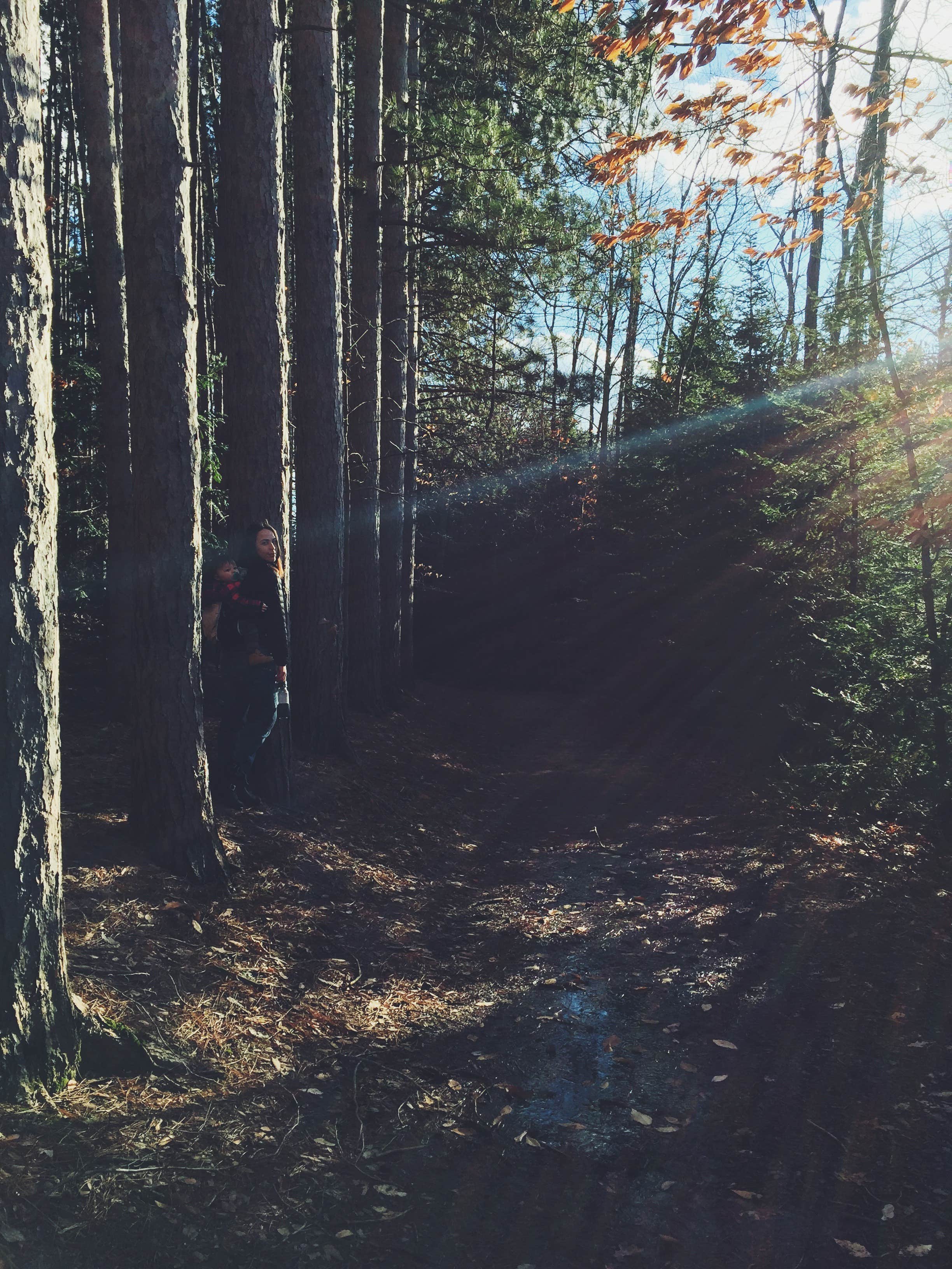 Camper submitted image from Proud Lake Recreation Area - 1