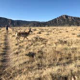 Review photo of Lucerne Campground - Ashley National Forest by Dani G., September 26, 2019