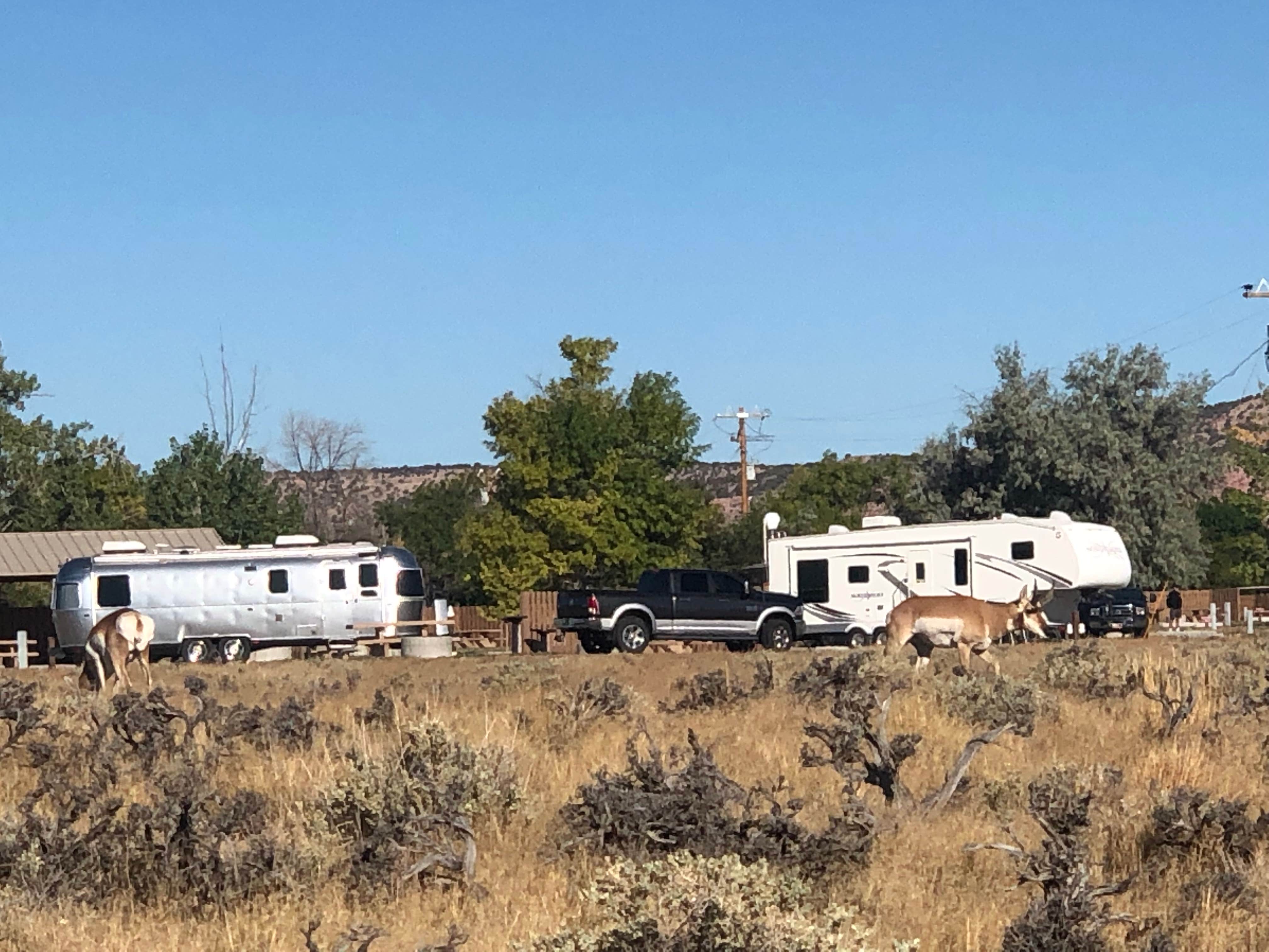 Dani G.'s photo of rv camping at Lucerne Campground - Ashley National Forest near Flaming Gorge, UT