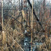 Review photo of Proud Lake Recreation Area by Jessika A., August 11, 2017