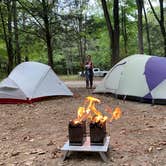 Review photo of Turkey Ridge Campground — Ferne Clyffe State Park by TJ V., September 26, 2019