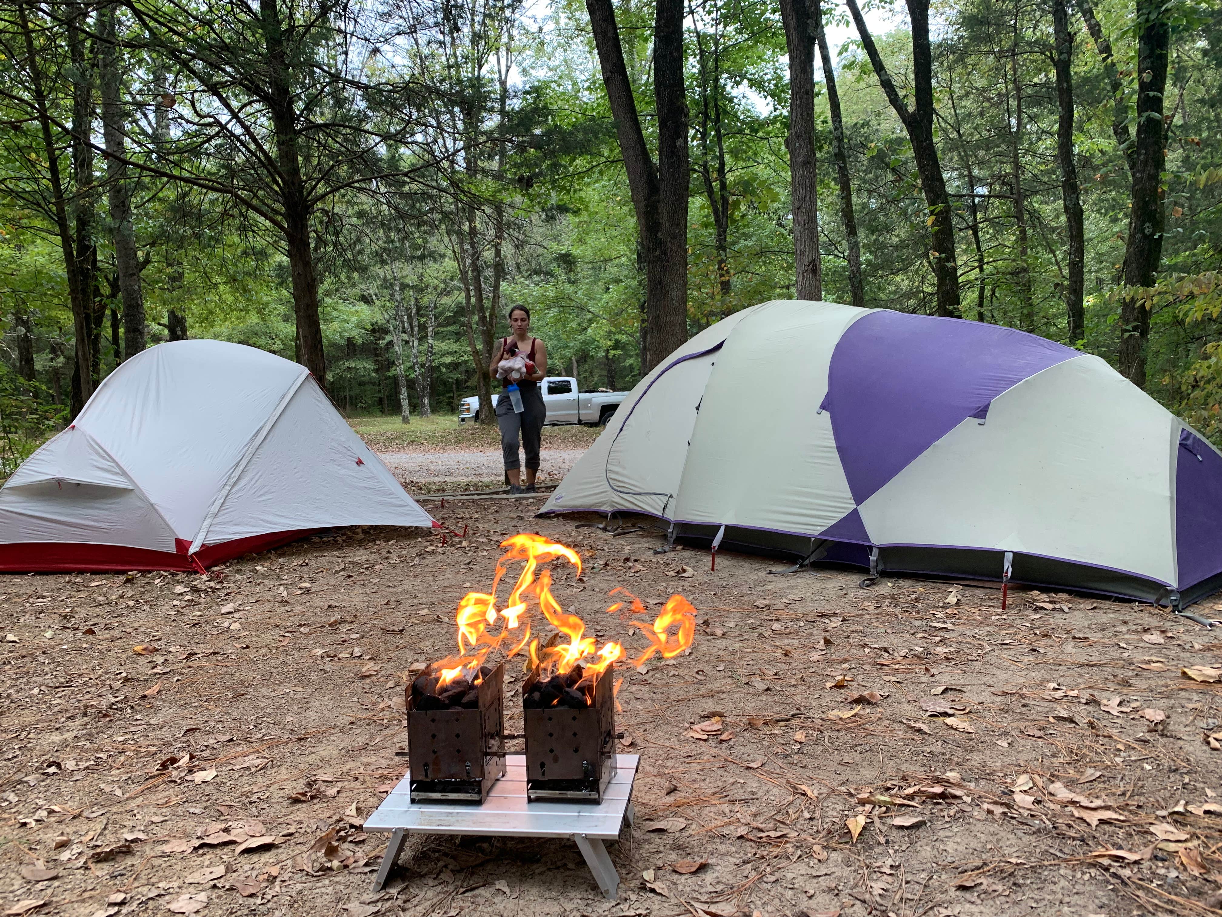Camper submitted image from Turkey Ridge Campground — Ferne Clyffe State Park - 3