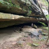 Review photo of Turkey Ridge Campground — Ferne Clyffe State Park by TJ V., September 26, 2019