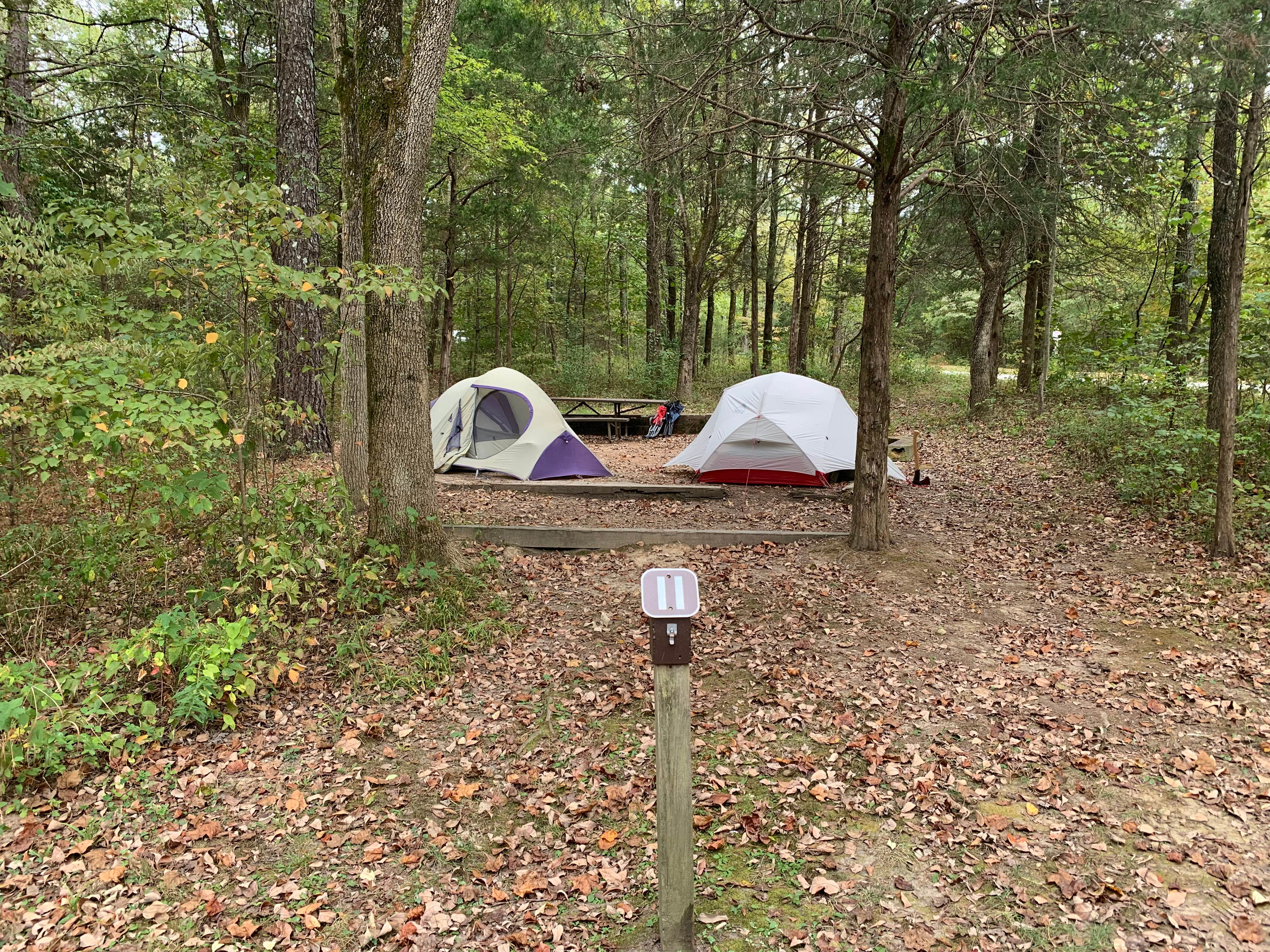 TJ V.'s photo of tent camping at Turkey Ridge Campground — Ferne Clyffe State Park near Whitewater, MO