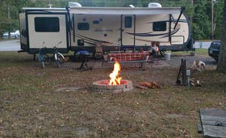 Donita A.'s photo at Thousand Trails Chesapeake Bay near Lancaster, VA