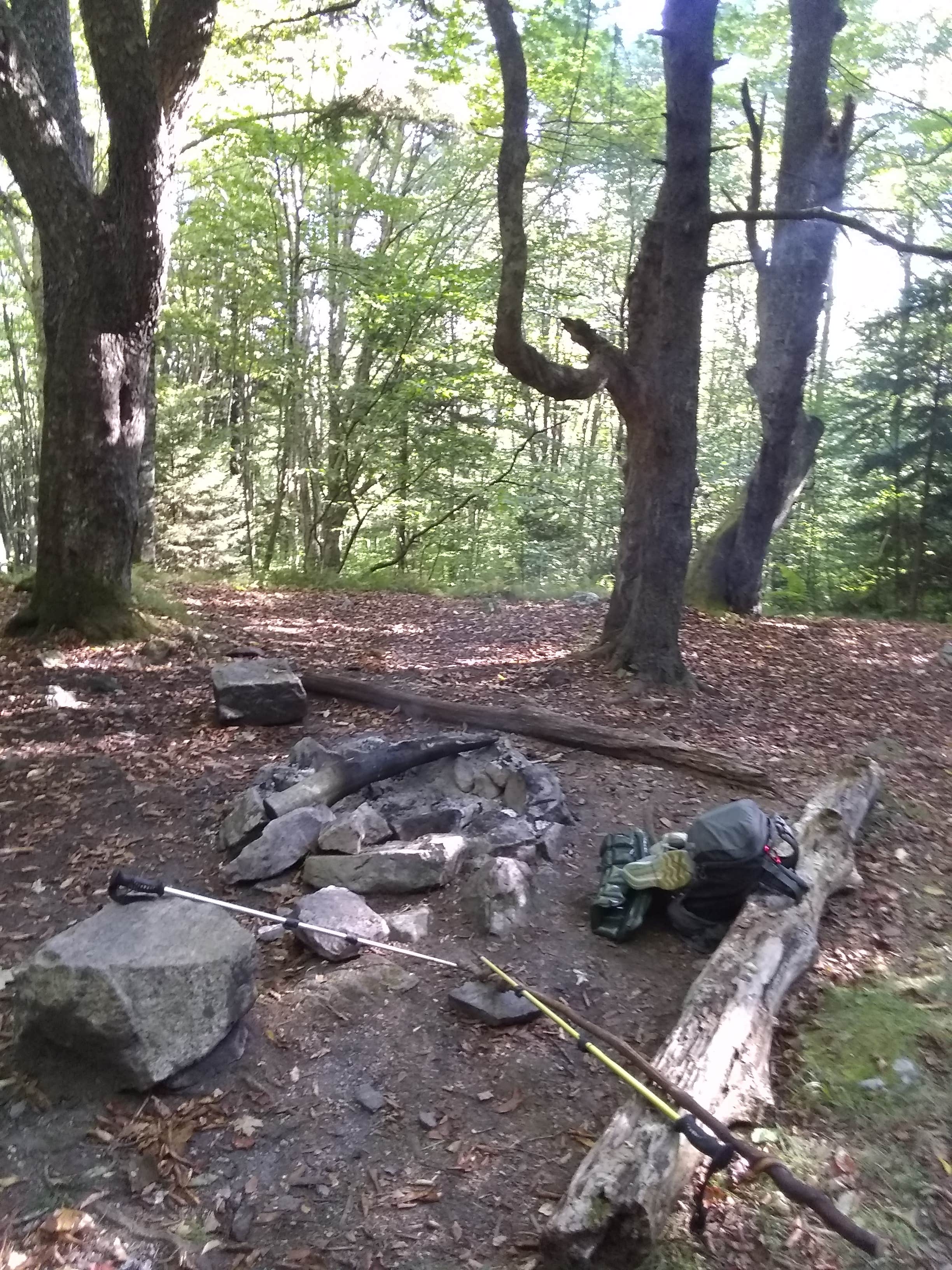 Camper-submitted photo at Mount Rogers National Recreation Area near Dublin, VA