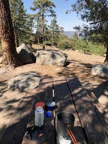 Camper submitted image from Thomas Hunting Grounds Yellow Post Campites - 5