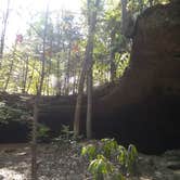 Review photo of Blue Heron Campground — Big South Fork National River and Recreation Area by Marsha K., September 26, 2019