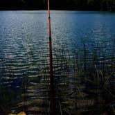 Review photo of Bowman Lake Campground by Daniel N., September 26, 2019