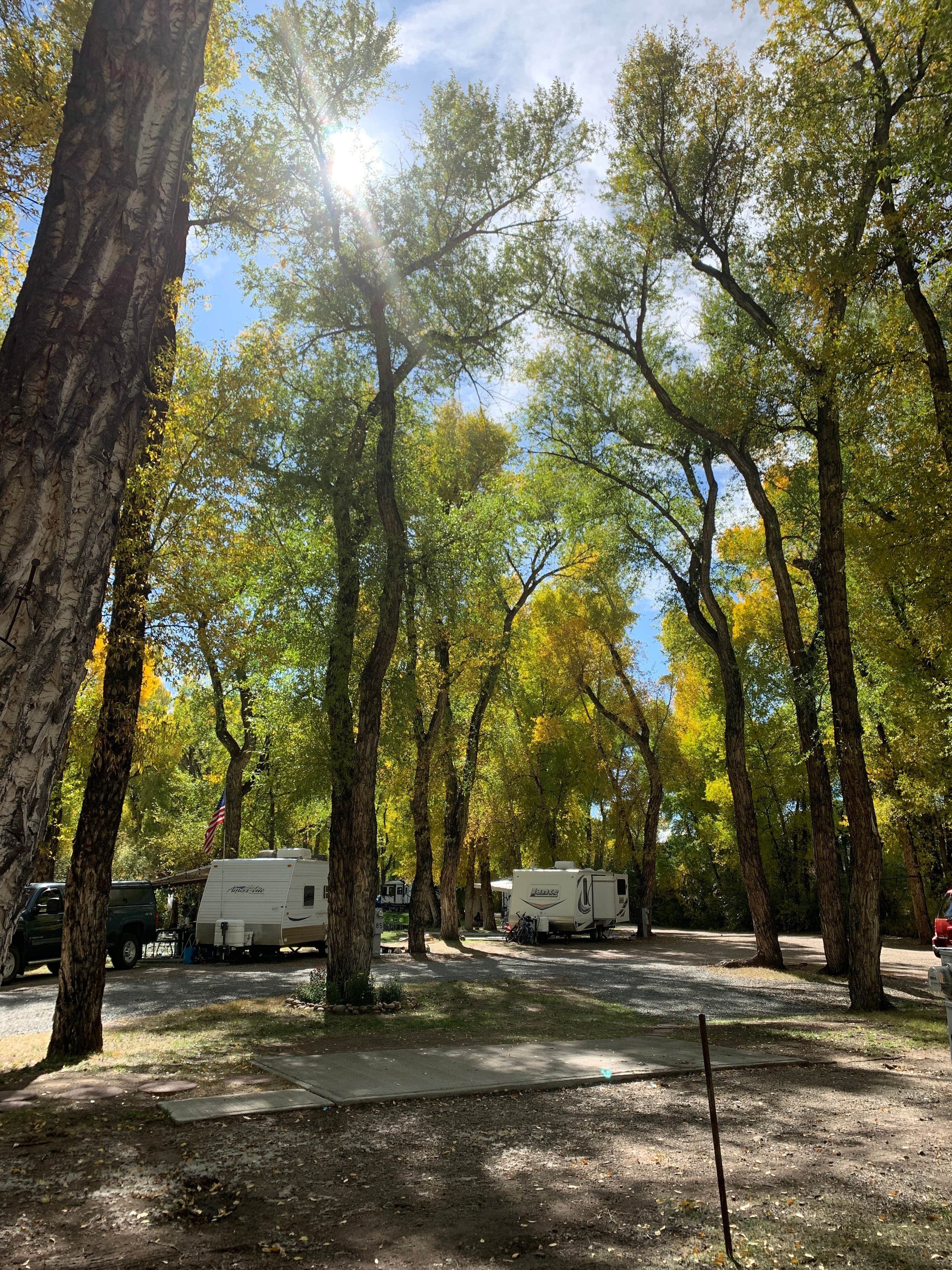 Diane C.'s photo at Mountain Time RV Park & Cabins (Formerly Tall Texan) near Almont, CO