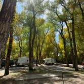 Review photo of Tall Texan RV Park & Cabins by Diane C., September 26, 2019