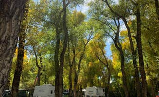 Diane C.'s photo at Mountain Time RV Park & Cabins (Formerly Tall Texan) near Almont, CO