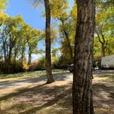Review photo of Tall Texan RV Park & Cabins by Diane C., September 26, 2019