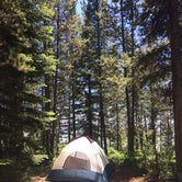 Review photo of Lizard Creek Campground — Grand Teton National Park by Claire H., August 11, 2017