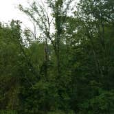 Review photo of Thousand Trails Circle M by Norm F., August 11, 2017