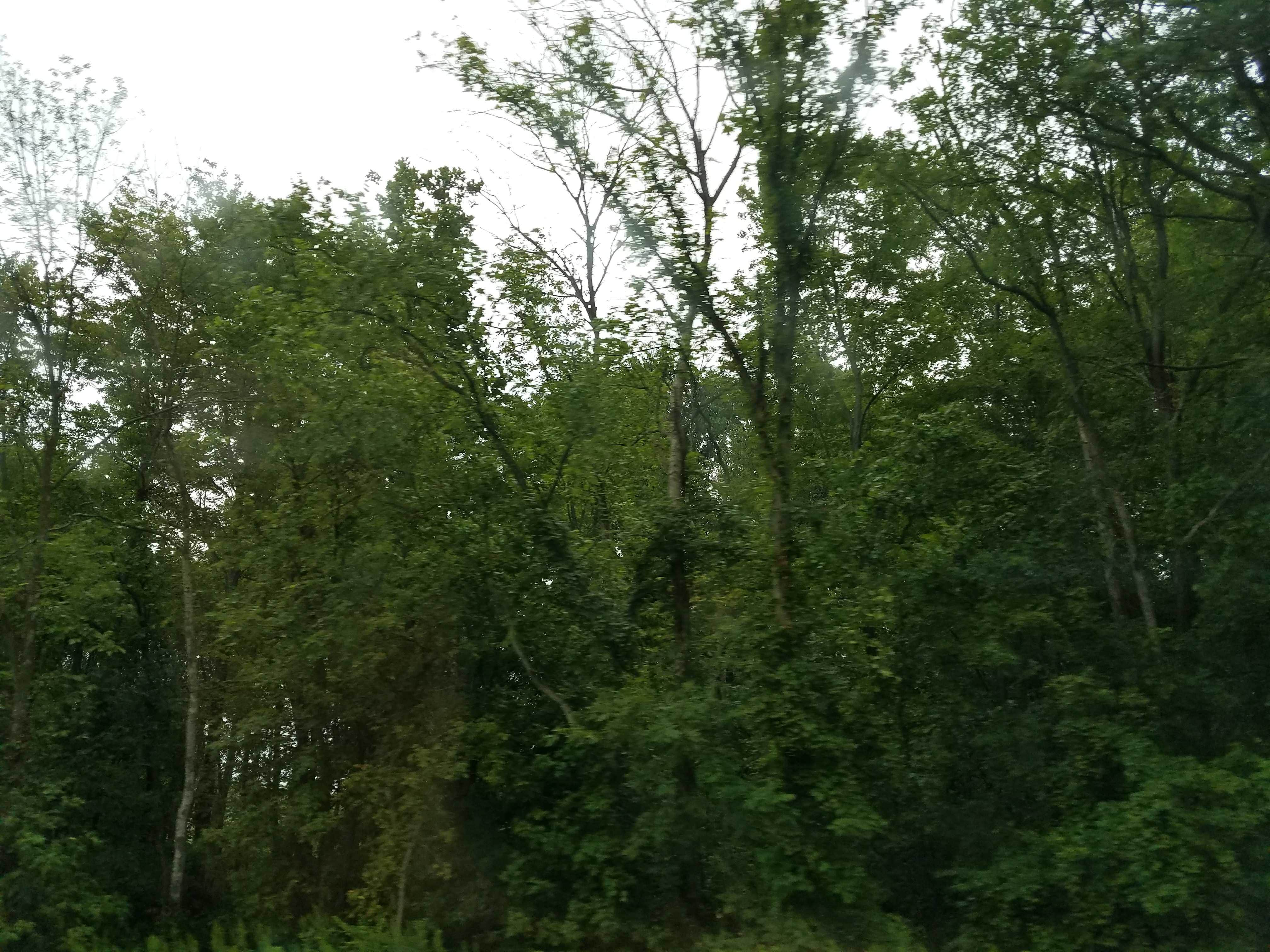 Camper submitted image from Thousand Trails Circle M - 2