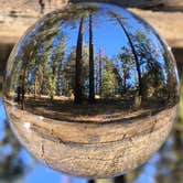 Review photo of San Gorgonio Campground by Kate W., August 9, 2019