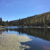 Review photo of San Gorgonio Campground by Kate W., August 9, 2019