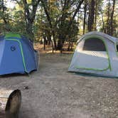 Review photo of San Gorgonio Campground by Kate W., August 9, 2019