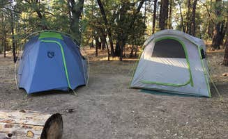 Kate W.'s photo at San Gorgonio Campground near Angelus Oaks, CA