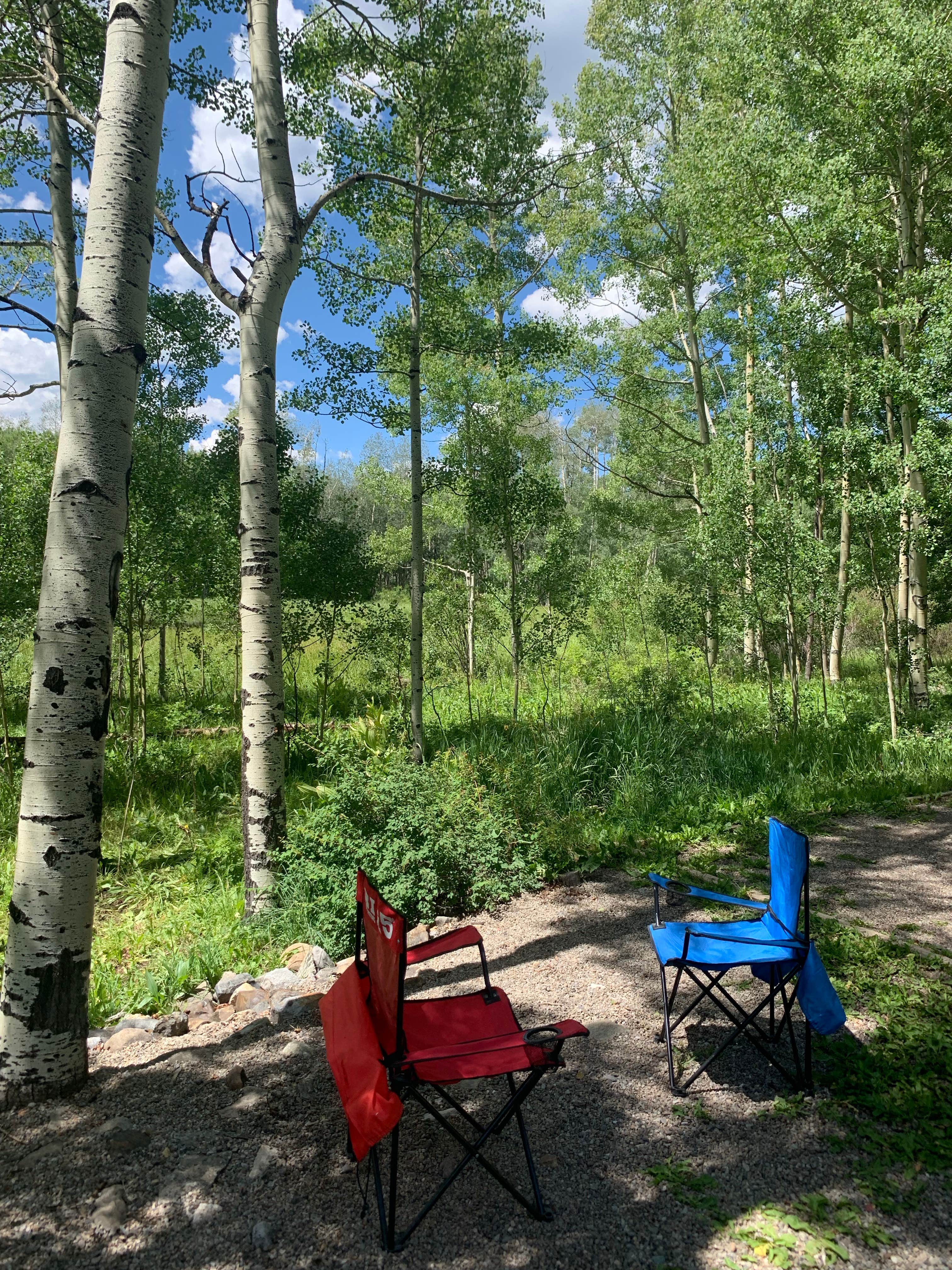 View All