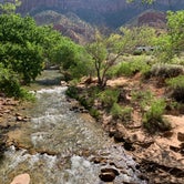 Review photo of South Campground — Zion National Park by Mike H., September 27, 2019