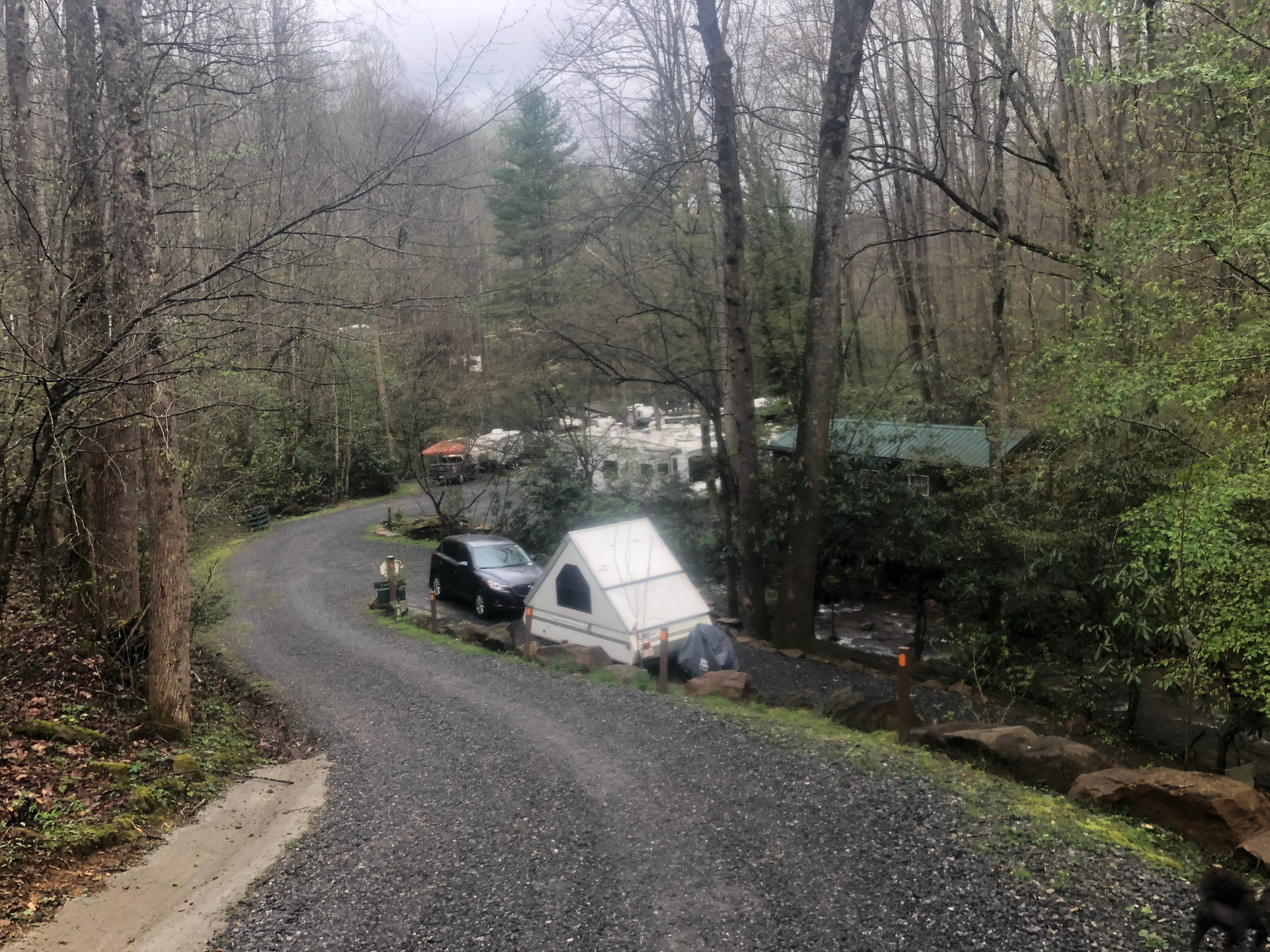 Shelly S.'s photo at Moonshine Creek Campground near Lake Junaluska, NC
