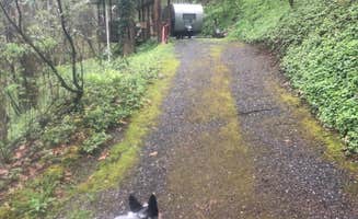 Shelly S.'s photo of camping with pets at Moonshine Creek Campground near Lake Junaluska, NC