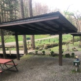 Review photo of Moonshine Creek Campground by Shelly S., September 27, 2019