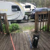 Review photo of Moonshine Creek Campground by Shelly S., September 27, 2019