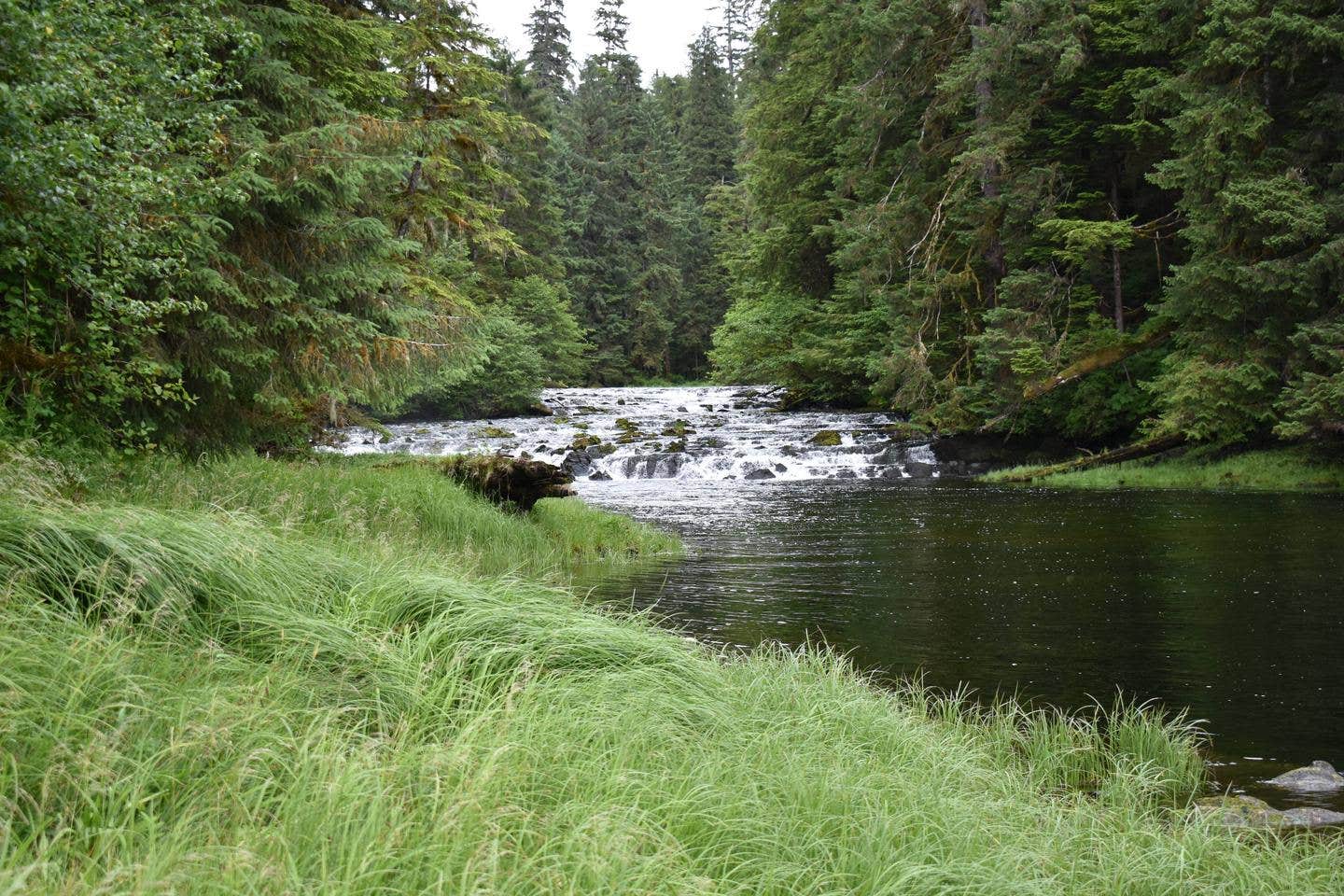 Camper submitted image from Fish Creek Cabin - 5