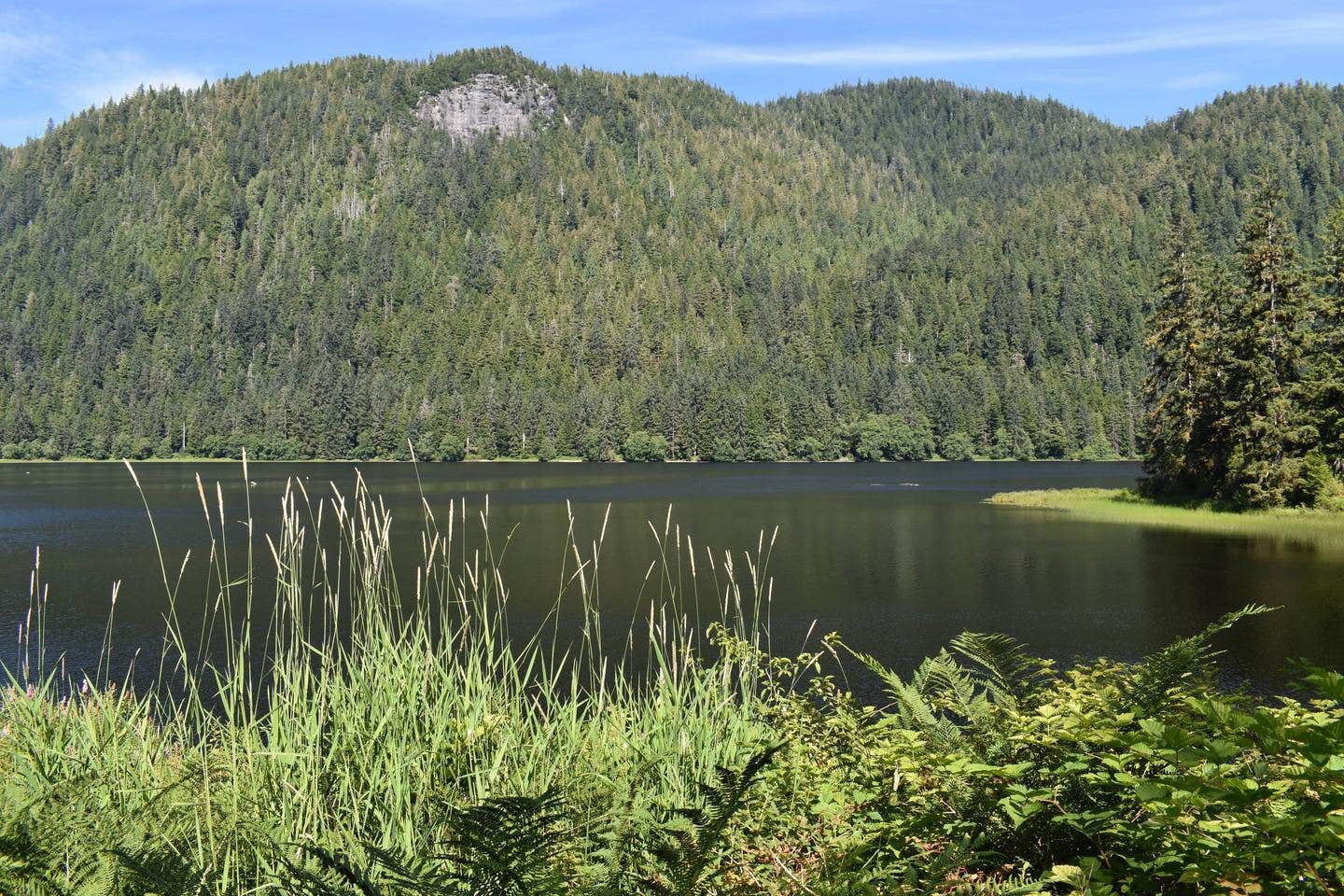 Camper submitted image from Heckman Lake Cabin - 3