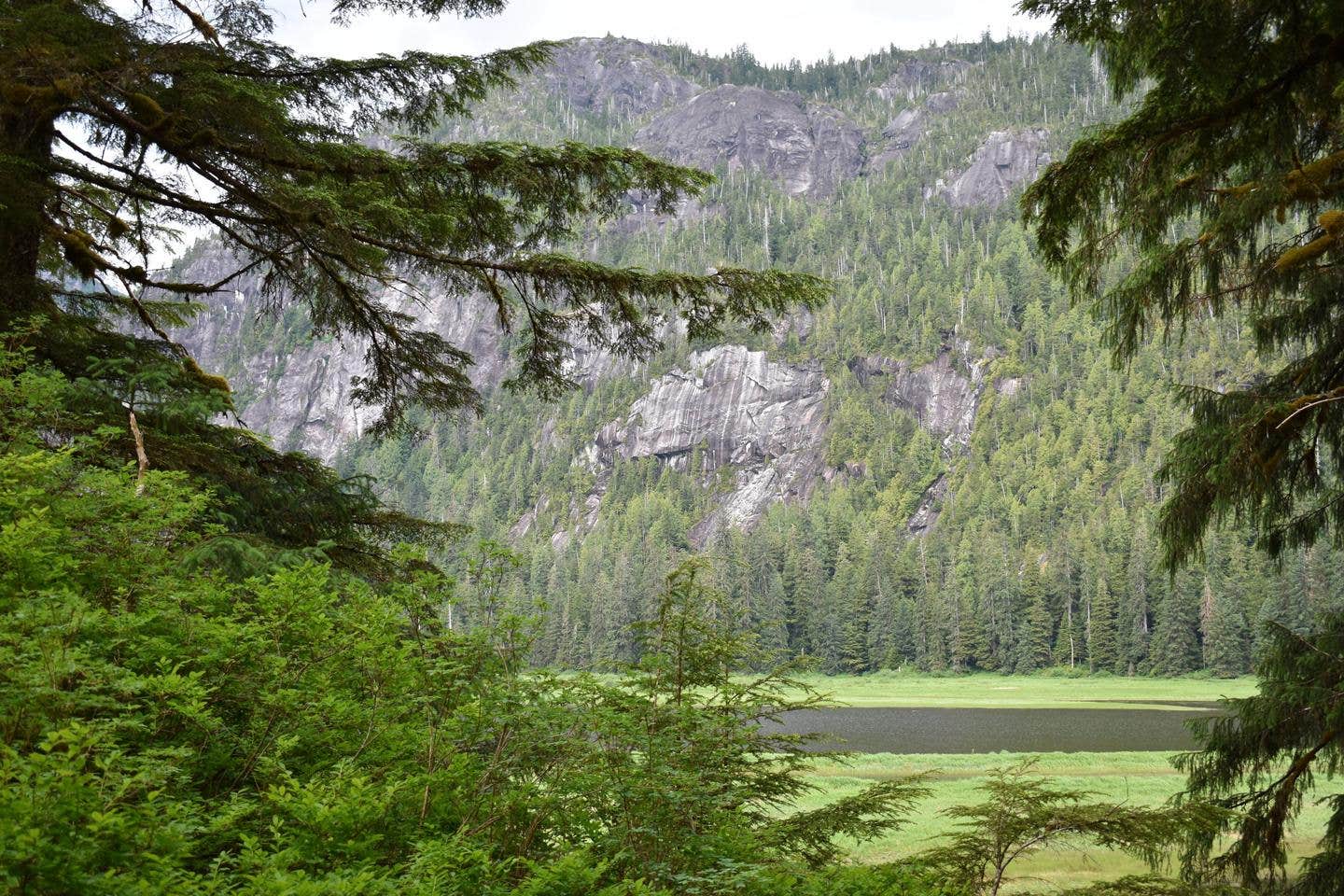 Camper submitted image from Manzanita Lake Cabin - 4