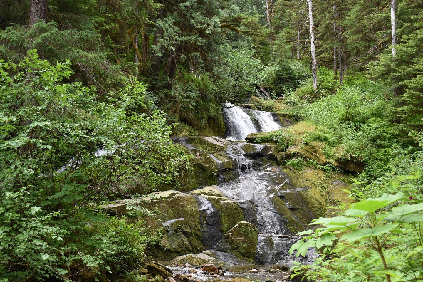 Camper submitted image from Manzanita Lake Cabin - 1