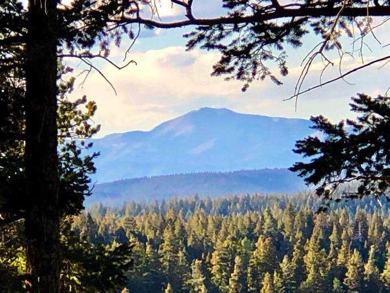 Camping near James Canyon Campground: 16 Springs, Mayhill, New Mexico